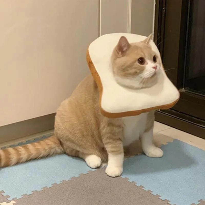 Cat Recovery Collar Cute Neck Cone Wound Healing Protective For Cats