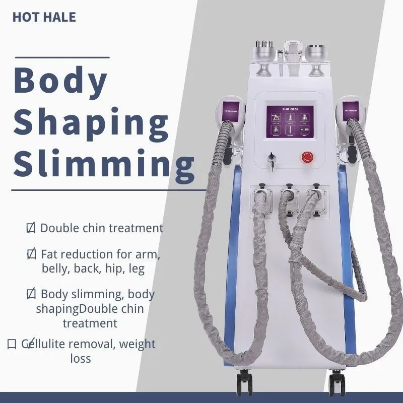 Cryolipolysis Fat Freeze Cool Body Sculpting Cryotherapy Loss Weight Machine con due maniglie Cryo funziona allo stesso tempo