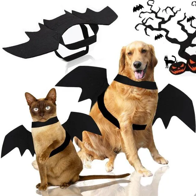 Hundebekleidung, schwarzes Haustier, Katze, Fledermaus, Geist, Welpe, Tier, Cosplay, Kleidung, Flügel, Halloween-Kostüm