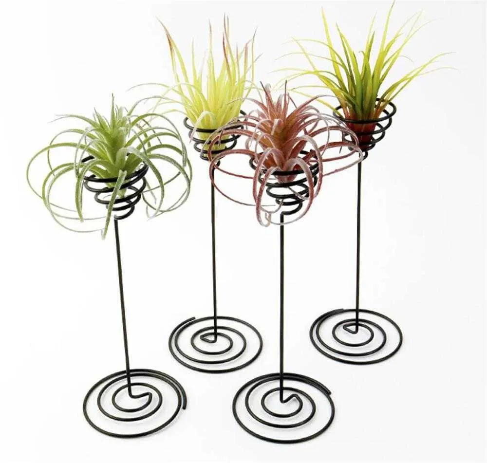 Wholesale Garden Decorations Air Plant Stand Holder Black Iron Spiral Flower AirPlant Container Tillandsia