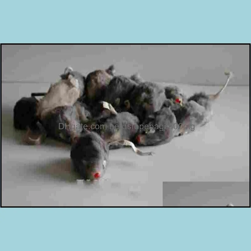 real rabbit fur mouse for cat toys mouse with sound high quality Free shipping 1pc mix color