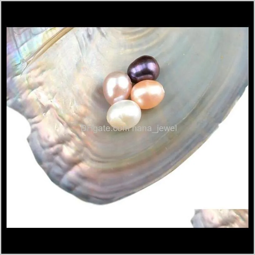 wholesale oysters with dyed natural pearls inside pearl party oysters in bulk open at home pearl oysters with vacuum packaging 