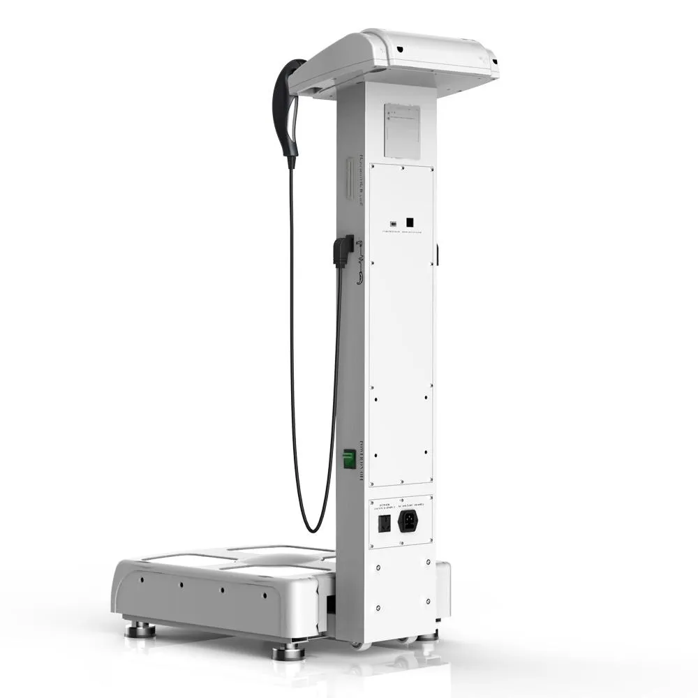 GS6.5 In Body Body Composition Analyzer With Network Printer For Accurate  Body Fat Analysis From Meiyanbeautymachine, $1,395.92