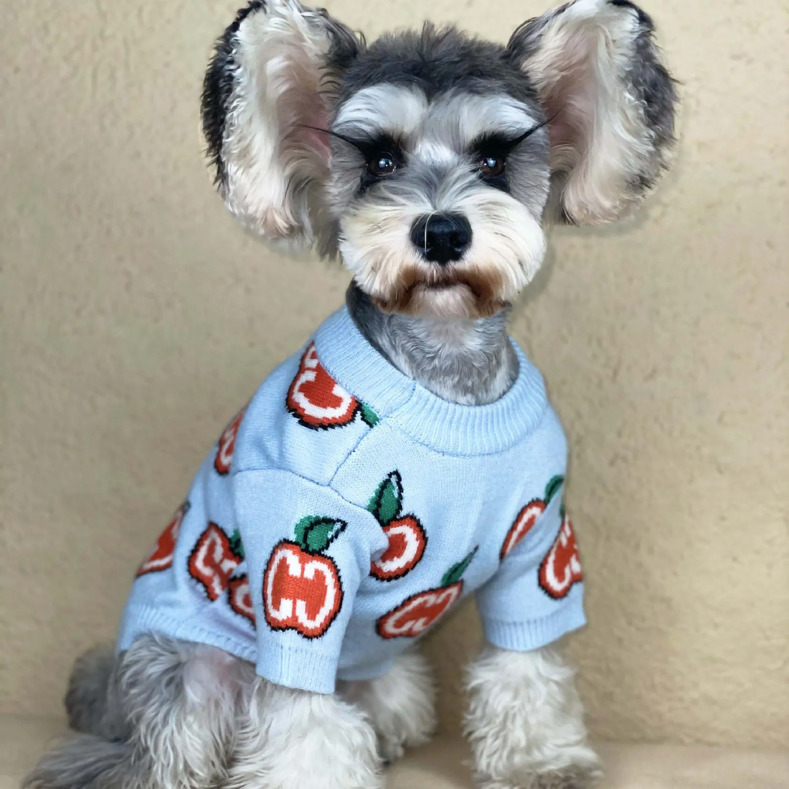 Brief afdrukken Pet Sweater Kleding Outdoor Party Style Dog Sweatshirt Apparel Schnauzer Teddy Pug Puppy Kleding