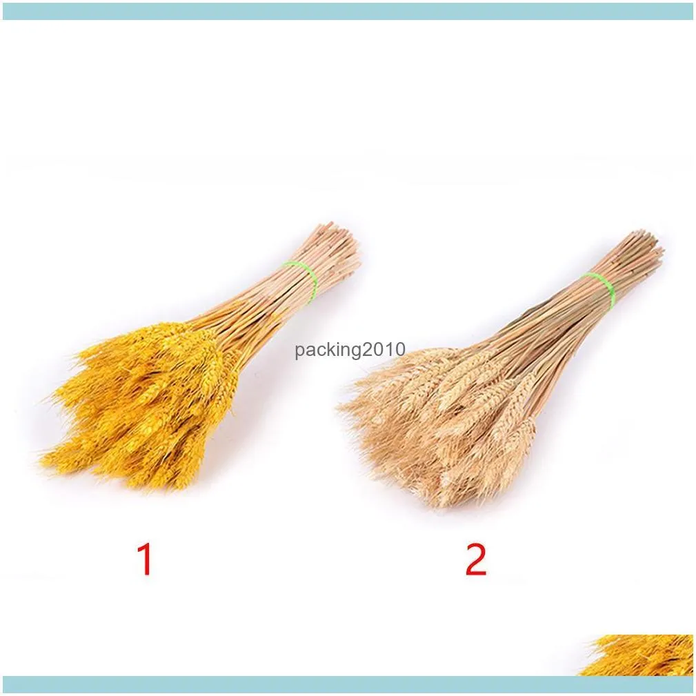 Decorative Flowers & Wreaths 50Pcs/lot DIY Primary Colors Home Party Wheat Ears Natural Dried Wedding Decoration Garden Ornament Shooting