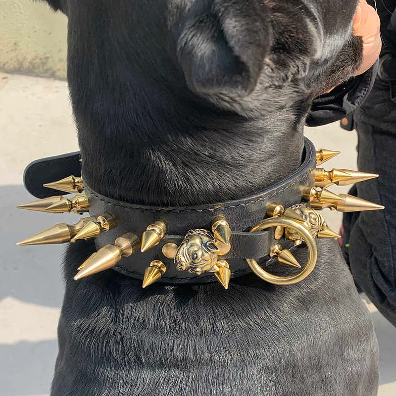 Dog collar sales spikes inside