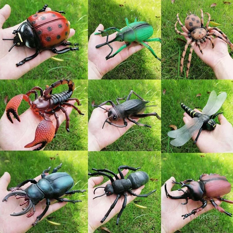 Symulacje Owady Małe Zabawki Zwierząt Ant Cricket Spider Scorpion Biedronka Dragonfly Symulacja zwierząt Model T9i001344