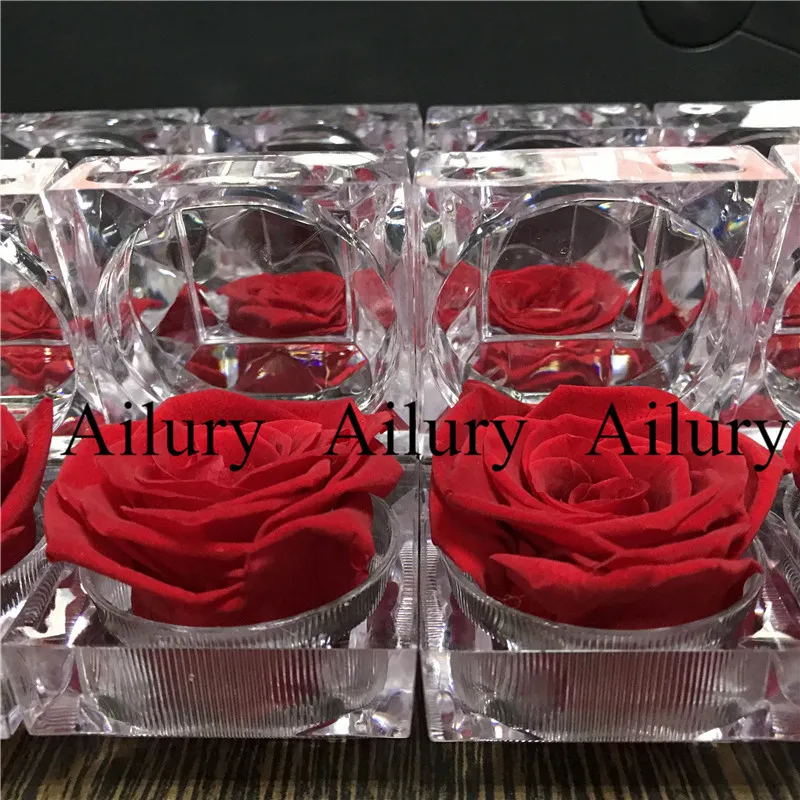 1 Stück, 3–4 cm rote ewige Blumen-Ringbox, Mini-Geschenk, echte natürliche Blume, lichtecht, Valentinstagsgeschenk 210317