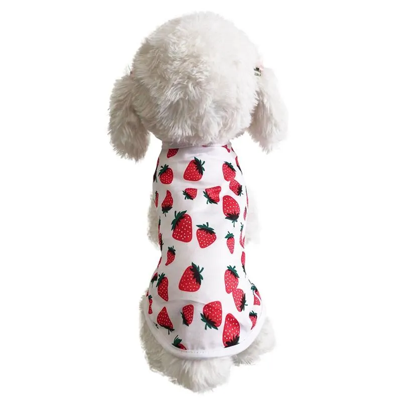 Dog Apparel Strawberry Printing Dogs Dogs sem mangas T-shirt Pet Summer Summer Cute Colle