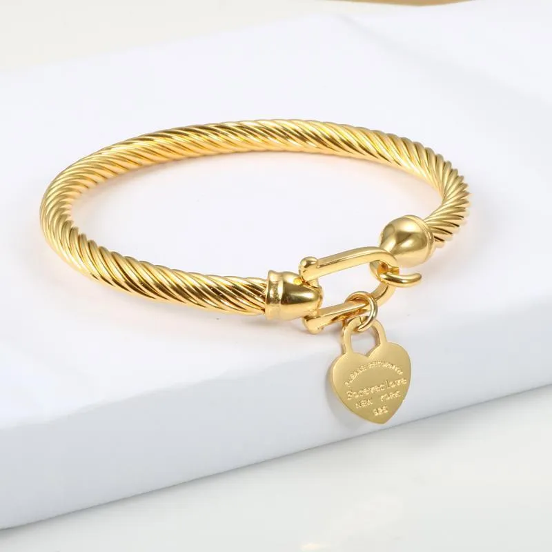 Titanium Steel Bangle Cable Wire Gold Color Love Heart Charm Bangle Bracelet Hook Closure For Women Men Wedding Jewelry Gifts1