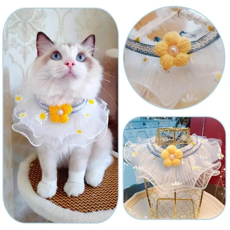 Collari per gatti Collare per guinzagli per cani da compagnia Pizzo fresco con margherita Bavaglino Piccoli oggetti di scena Po Princess Wind Puppy Kitten Collana Accessori da sposa