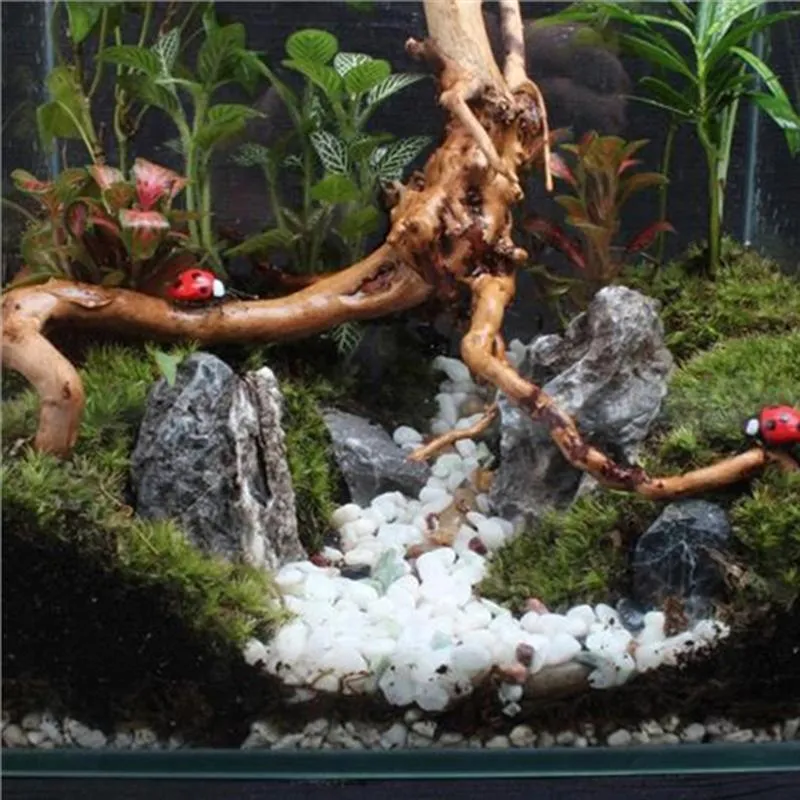 4 pièces décorations d'aquarium branche naturelle bois flotté pour ornements de décoration d'aquarium Y200922266L