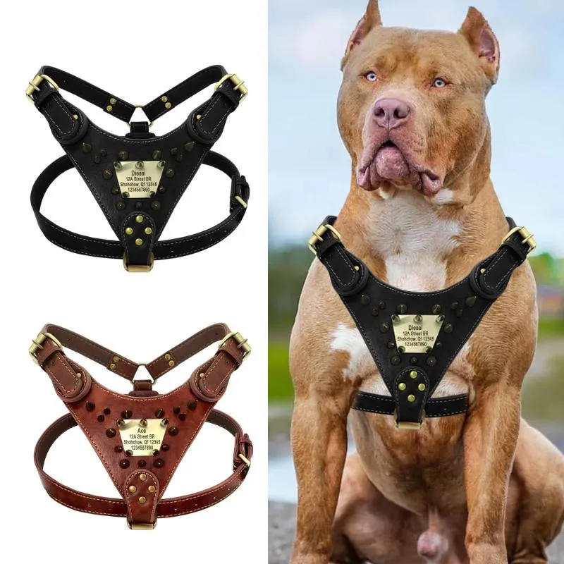 Hundhalsar Löser Personligt lädersele Sele Sharp Spiked Studded Anpassad ID -tagg Harnesses Pet Vest för Pitbull Boxer Mastiff