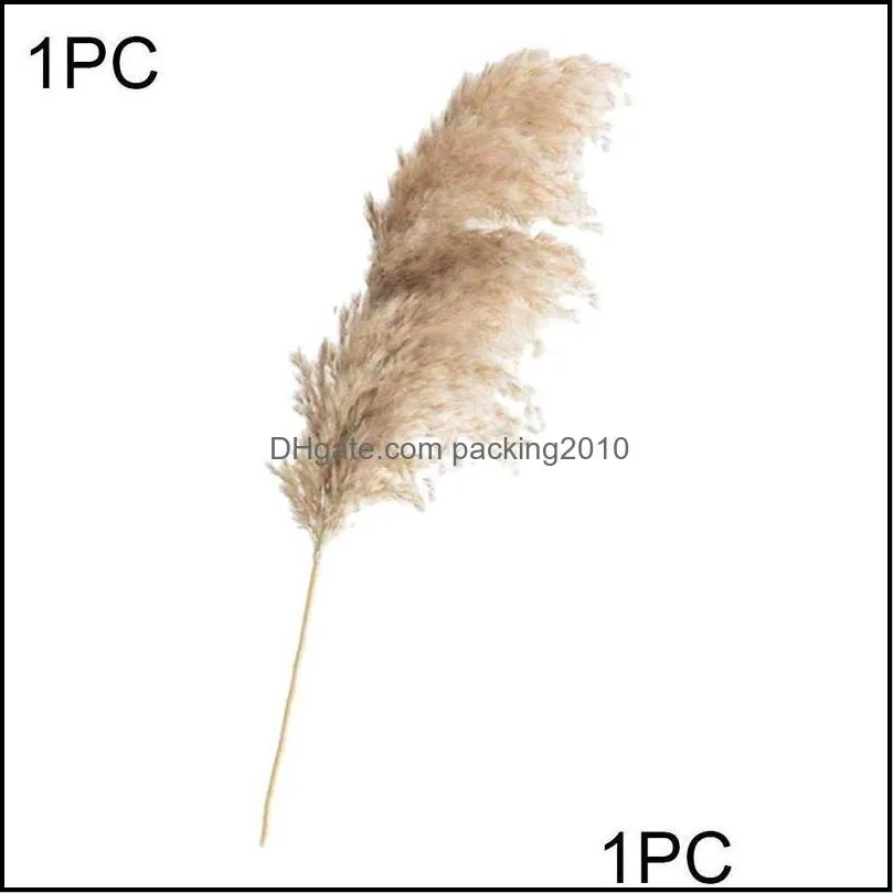 Decorative Flowers & Wreaths 10 Light Color Wedding Bunch Natural Dried Pampas Grass Flower Beautiful Reed Christmas Home Decoration