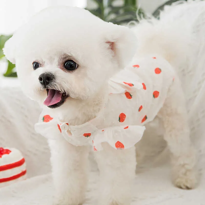 Yaz Eğlence Sevimli Etek Çilek Desenleri Yavru Köpek Kedi Prenses Elbise İnce Nefes Pet Giysileri Yay Ile