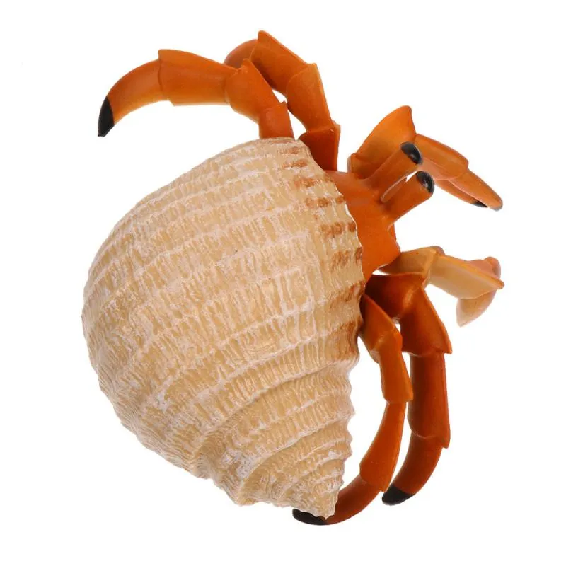 Decorações de interiores 1pc Ocean Creature Sea Animal Figura Modelo