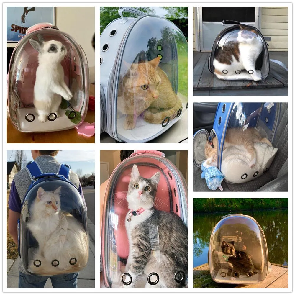 Cat-Carrier-Bags-Breathable-Pet-Carriers-Dog-Cat-Backpack-Travel-Space-Capsule-Cage-Pet-Transport-Bag (5)