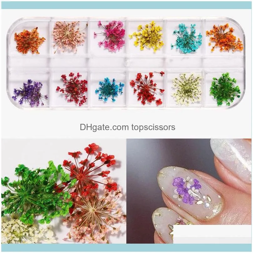 Nail Art Decorations 4boxes Dried Flowers Butterfly Glitter Stickers Sequins Flakes Supplies Gift Decoration Accessories & Diy