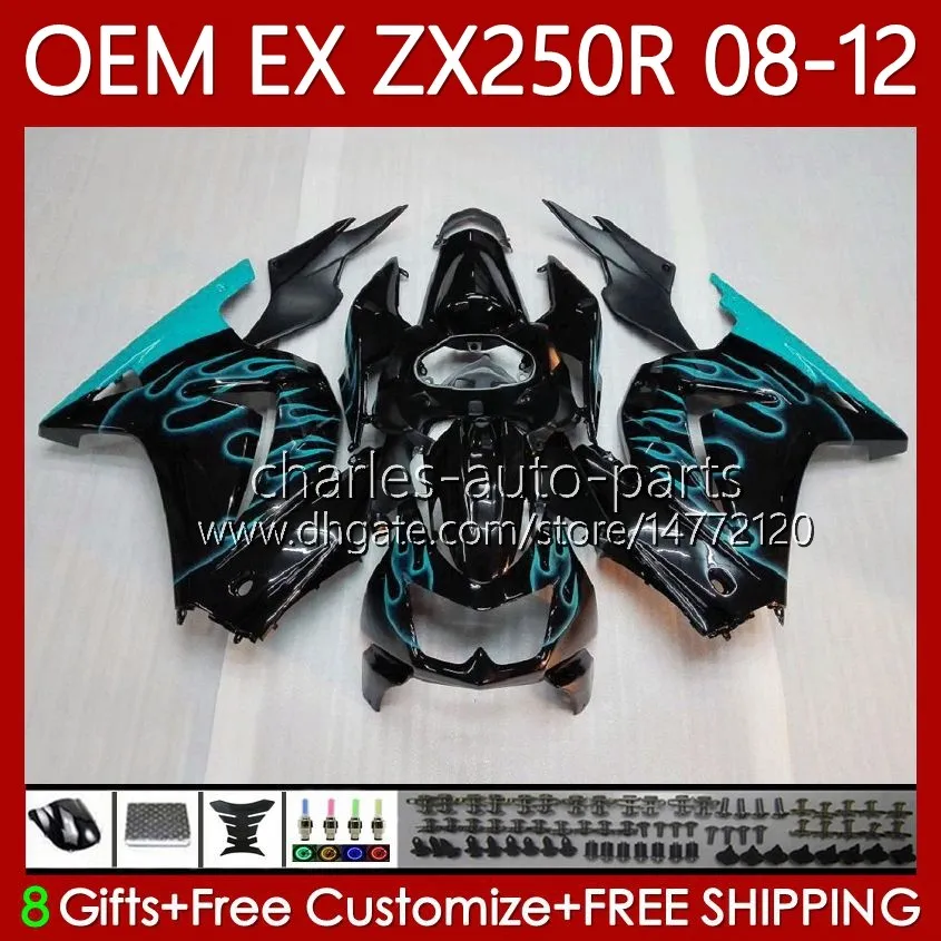 Iniezione OEM per KAWASAKI NINJA ZX-250R EX250 ZX250 R EX ZX Cyan Flames 250R 2008-2012 Corpo 81No.209 EX-250 ZX250R 08 09 10 11 12 EX250R 2008 2009 2010 2011 2012 Carenatura