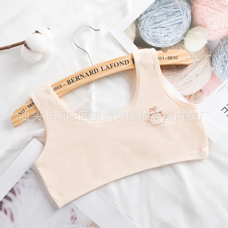 girl bra teen Underwear for Kids girls bras Baby Young Hipster Training Lingerie vest Cotton Children 8-16Years summer 1037 Y2