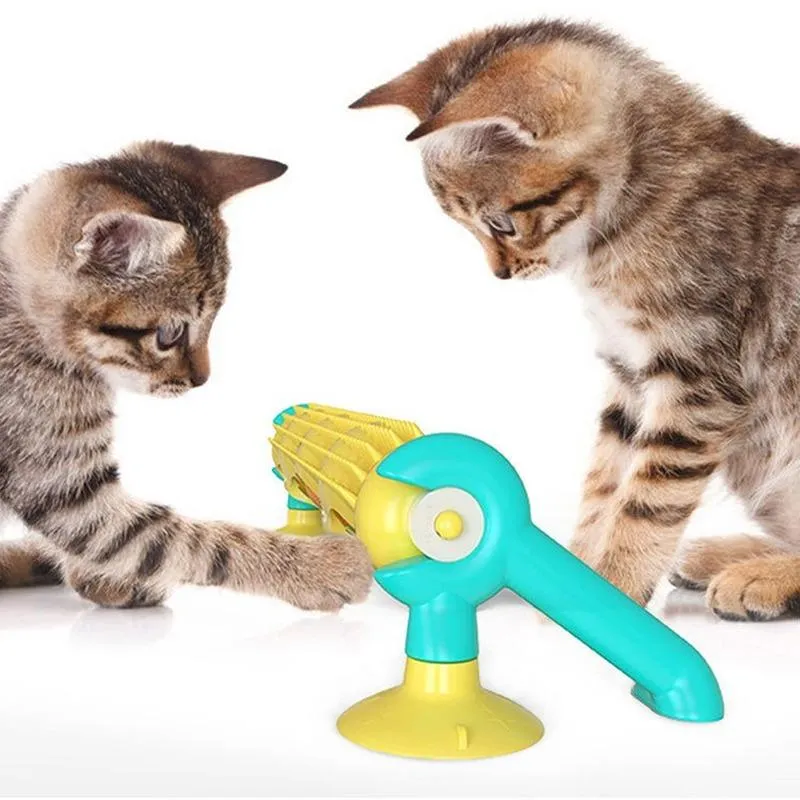 Jouets pour chats, artefact Anti-alésage, balle de piste auto-jouante, ventouse auto-hélicoïdale, plateau tournant, cadre d'escalade, jeu de dents de meulage