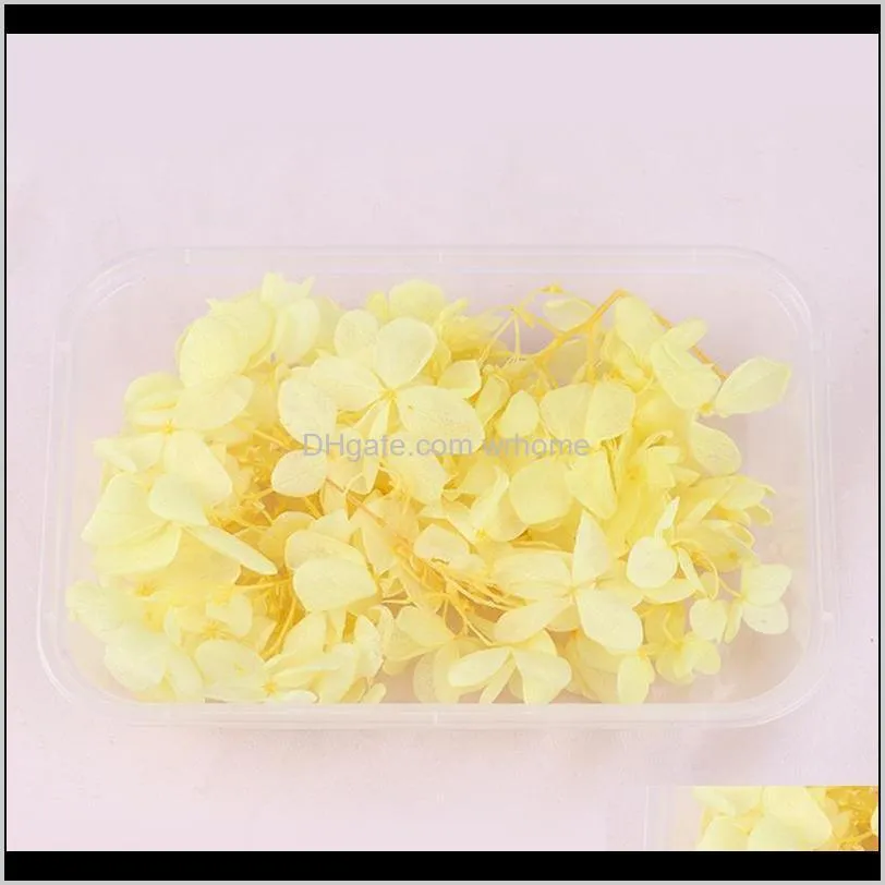 LuanQI 1Box Real Dried Flower Eternal Small Leaves Hydrangea DIY Flowers Natural Bouquet Wedding Accessories Decorative & Wreat