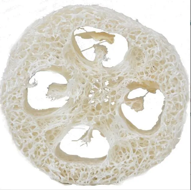 7cm naturlig loofah luffa loofa skivor handgjorda diy loofah tvål verktyg cleaner svamp ansiktsåpehållare
