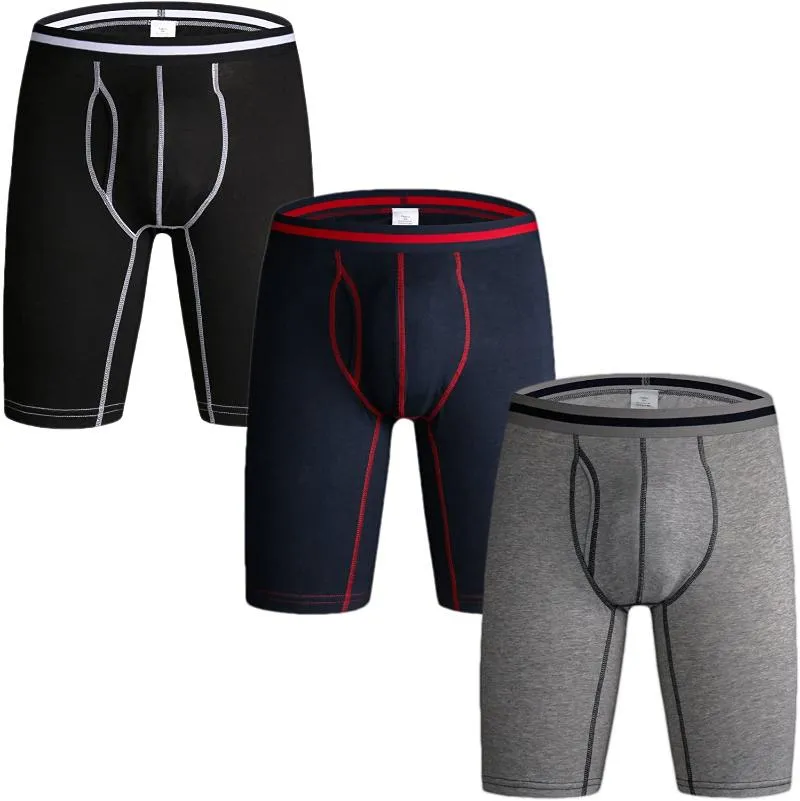 Lot de 3 caleçons pour hommes à jambes longues caleçons en coton Multipack pochette ouverte sous-vêtements de sport culottes pour hommes