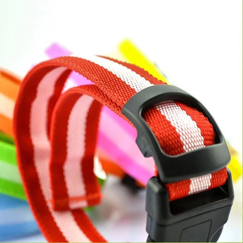 Dog Collars & Leashes Adjustable LED Collar Light USB Flashing Lit Pet Safety Suitable For Small Dogs And Cats Size M