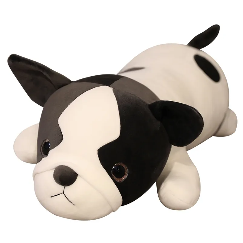 Mignon Bulldog Doll Jouets en peluche Oreiller en coton rempli d'animaux en peluche traversant chien bébé chambre décor à la maison cadeau de vacances 210728