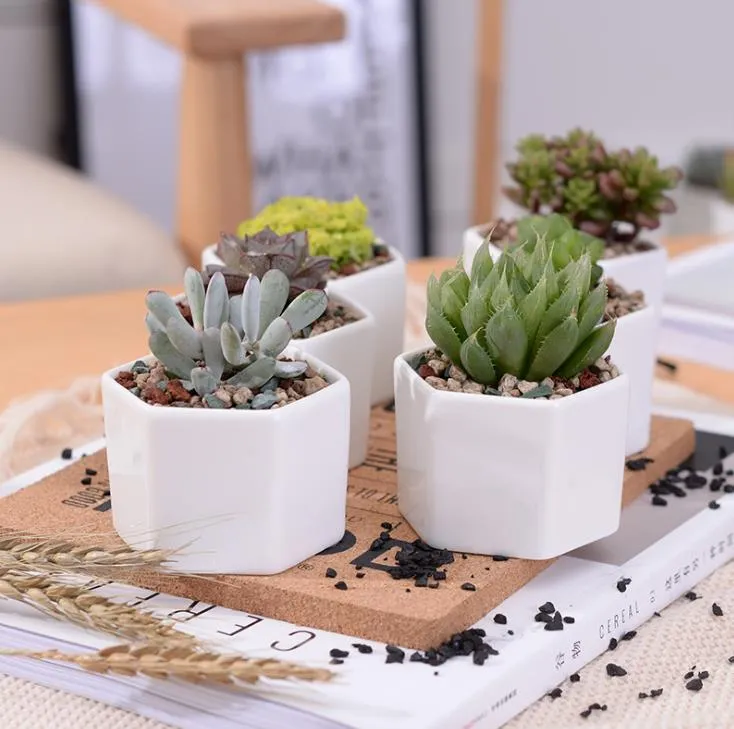 Ceramic Bonsai Pots Wholesale Mini White Porcelain... From Linxi2015, $1.45  | DHgate.Com