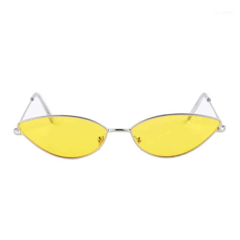 Gudzws Vintage Cat Eye Sunglasses Small Metal Frame Super Lichtgewicht voor vrouwen Heren Unisex1