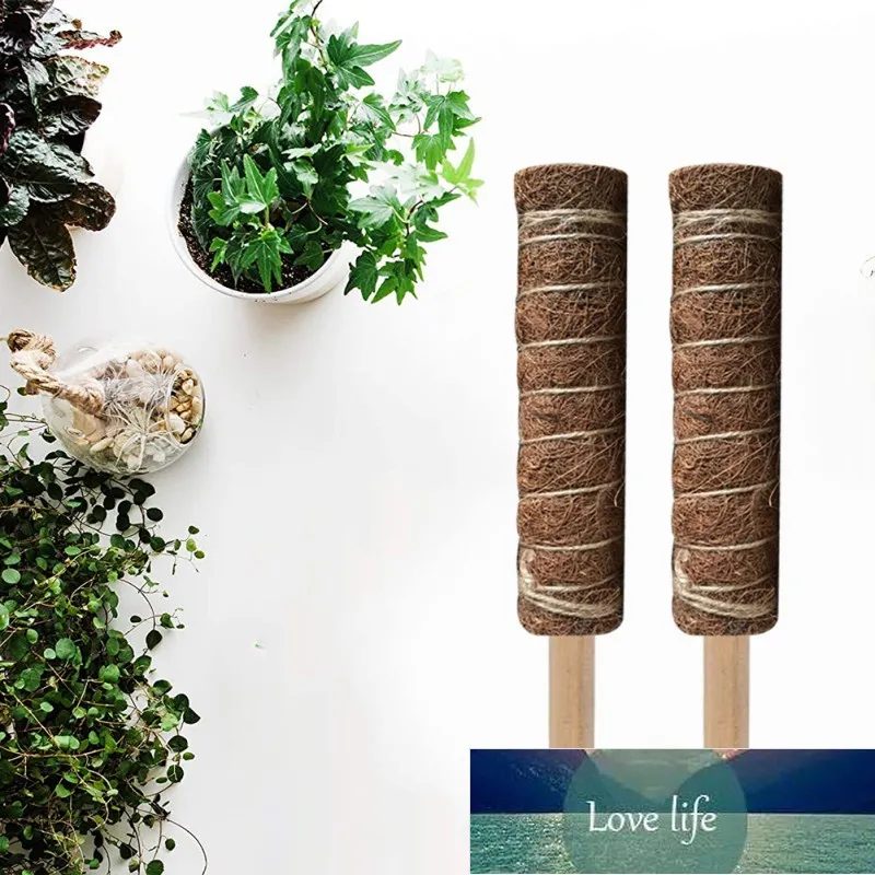 1/2/4PCS Coir Moss Totem Pole Coir Moss Stick pour Creepers Plant Support Extension Escalade Plantes De Jardin 30/40/45 / 60cm Prix Usine Expert Design Qualité Dernier Style