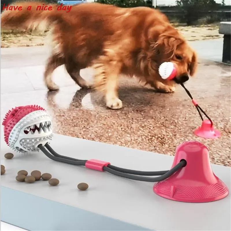 Små djurförsörjning Pet Molar Bite Dog Toys Multifunction Rubber Chew Ball