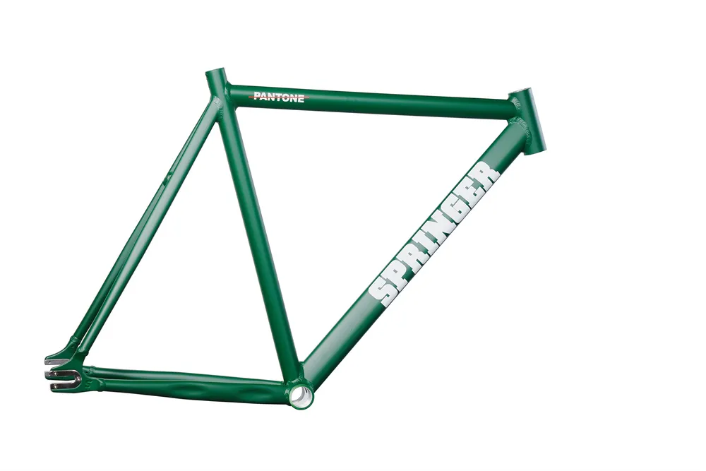 Bicycle springer hot sale