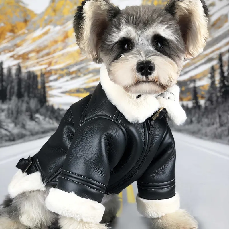 Winter Warm Dog Apparel Solie Kleur Lederen Puppy Jassen Outdoor Fashion Casual Huisdieren Jas voor Teddy Schnauzer Franse Bulldog