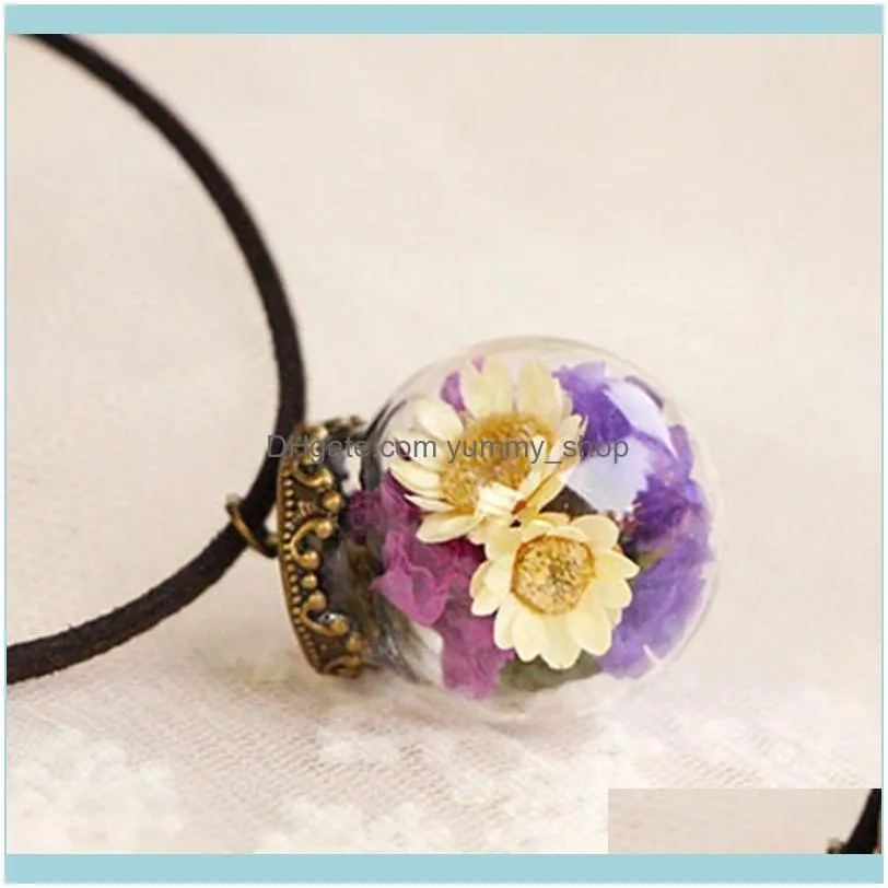 5 Color Handmade Dried Daisy Pendant Necklace Real Dried Flower Glass Wish Bottle Choker Necklace Women Jewelry For Mori Girl