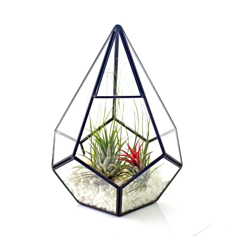 Vase en Verre Géométrique Suspendu Terrarium Maison Décoration de Table Pot Pyramide Forme de Diamant Jardinière pour Succulente Fougère Mousse Miniature Fée Jardin Conteneur (Pas de Plantes)