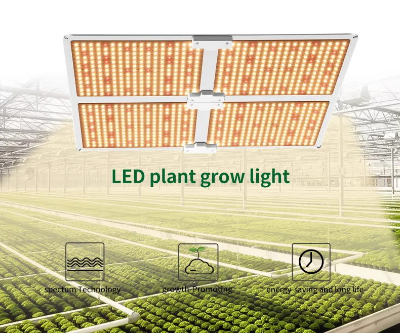 Waterdicht 1000W 2000W Full Spectrum LED Grow Light voor Bloemen Zaailing Veg Samsung LM301B Meanwell Driver Phyto Lamp