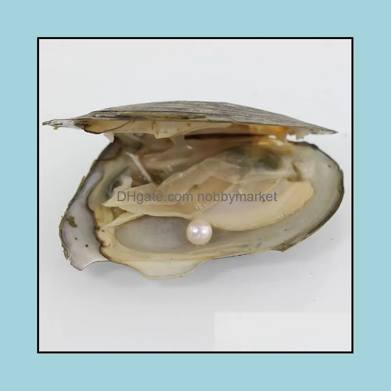 2020 new Akoya High quality cheap love freshwater shell pearl oyster 6-7mm red gray light blue pearl oyster with vacuum packaging