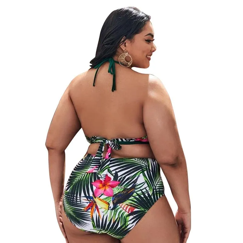 Designer plus sales size bathing suits