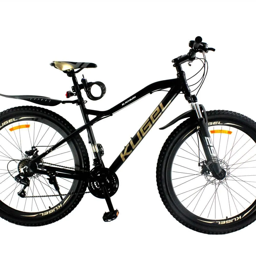 Shimano store aluminum bike