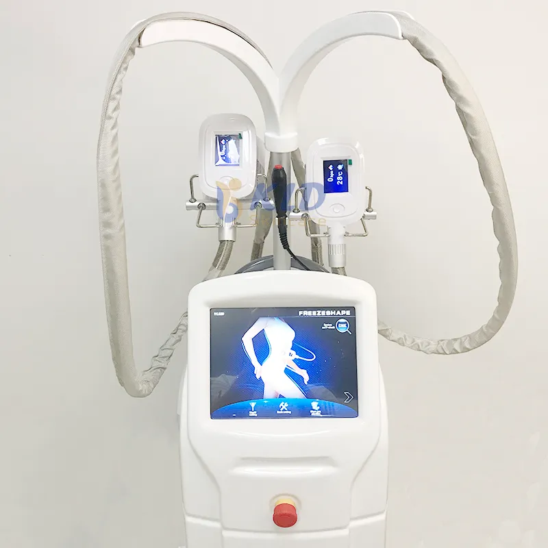 4脂肪凍結痩身機療法のキャビテーション無線周波数RF美装置