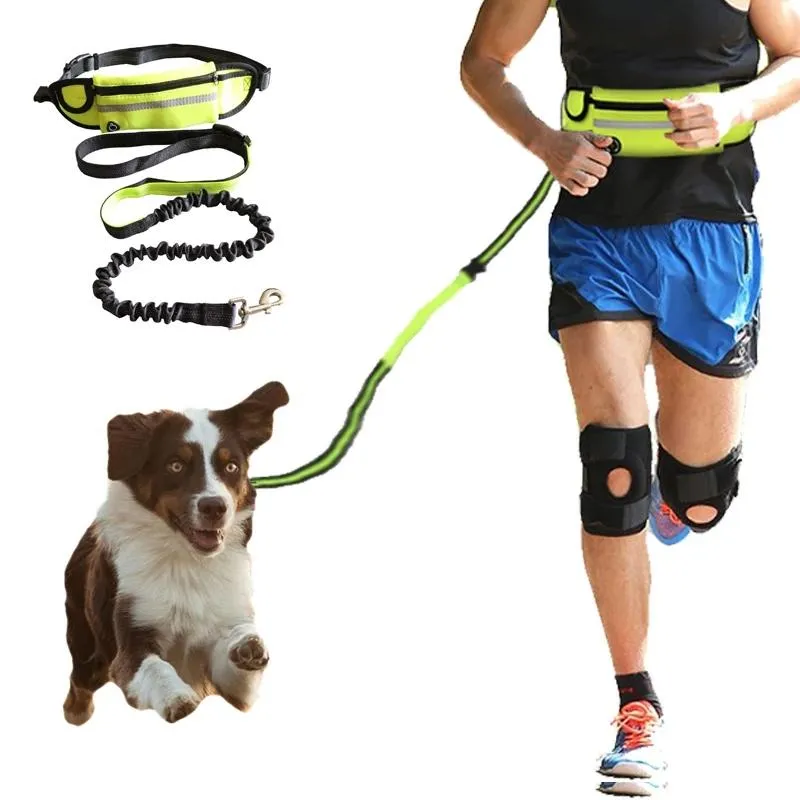 Hundkragar Leashing Lossh Nylon Hand Fritt husdjur Produkter Hundar Harness Collar Jogging Lead Justerbar Waist Traction Belt Rope