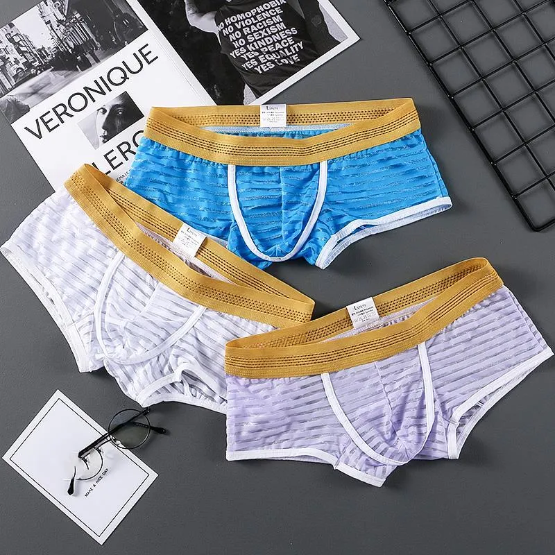 Sexy Stripe Mens Mesh Transparent Boxer Briefs, Ultra Thin Breathable Low  Waist Panties From Lonandon, $18.94