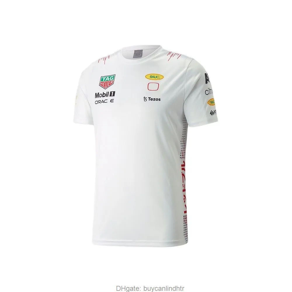 Motorsport Formula 1 Racing F1 Camiseta Masculina T Shirt per uomo Abbigliamento BlusAS Shirts Oversize Gym TEE STI STI