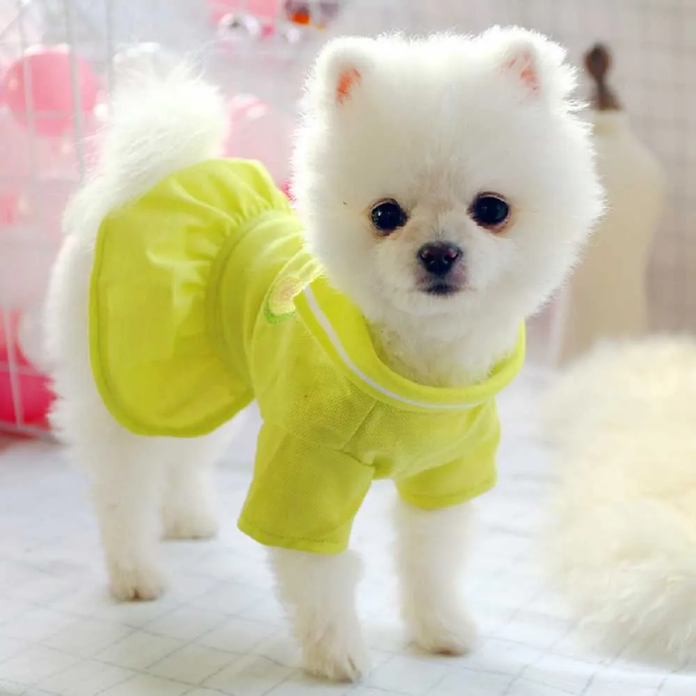 Casual tryckt kattskjorta Klänning Vår sommar Husdjur Outfits för Små Pomeranian Chihuahua Bichon Puppy Party Dog Kjol