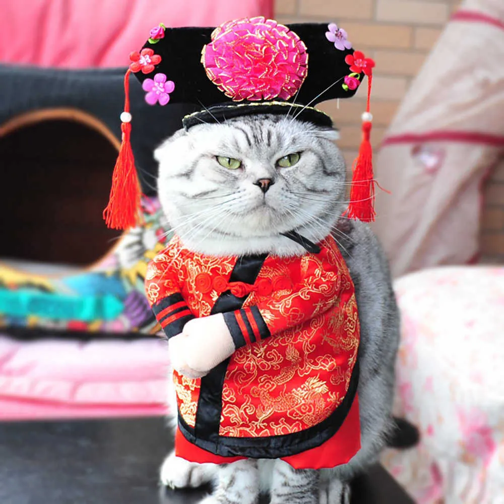 Drôle princesse chinoise Cosplay vêtements chats Halloween Costume pour chiens Costume de noël chat vêtements chien tenue vêtements pour animaux de compagnie