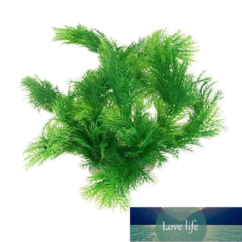 Creating a Lush Aquascape: Best Water Plants for Your Aquarium