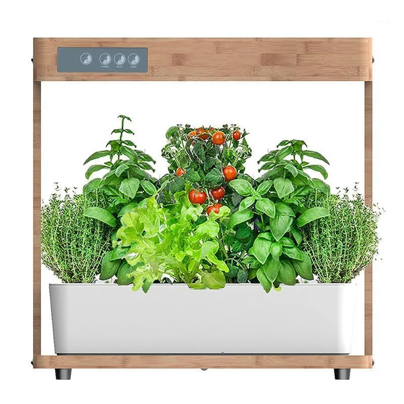 Plantadores Pots IGS-05 Plant Indoor Plant Hydroponics Machine Soilless Equipamento de Cultivo Automático Água Absorbando Flor Pot